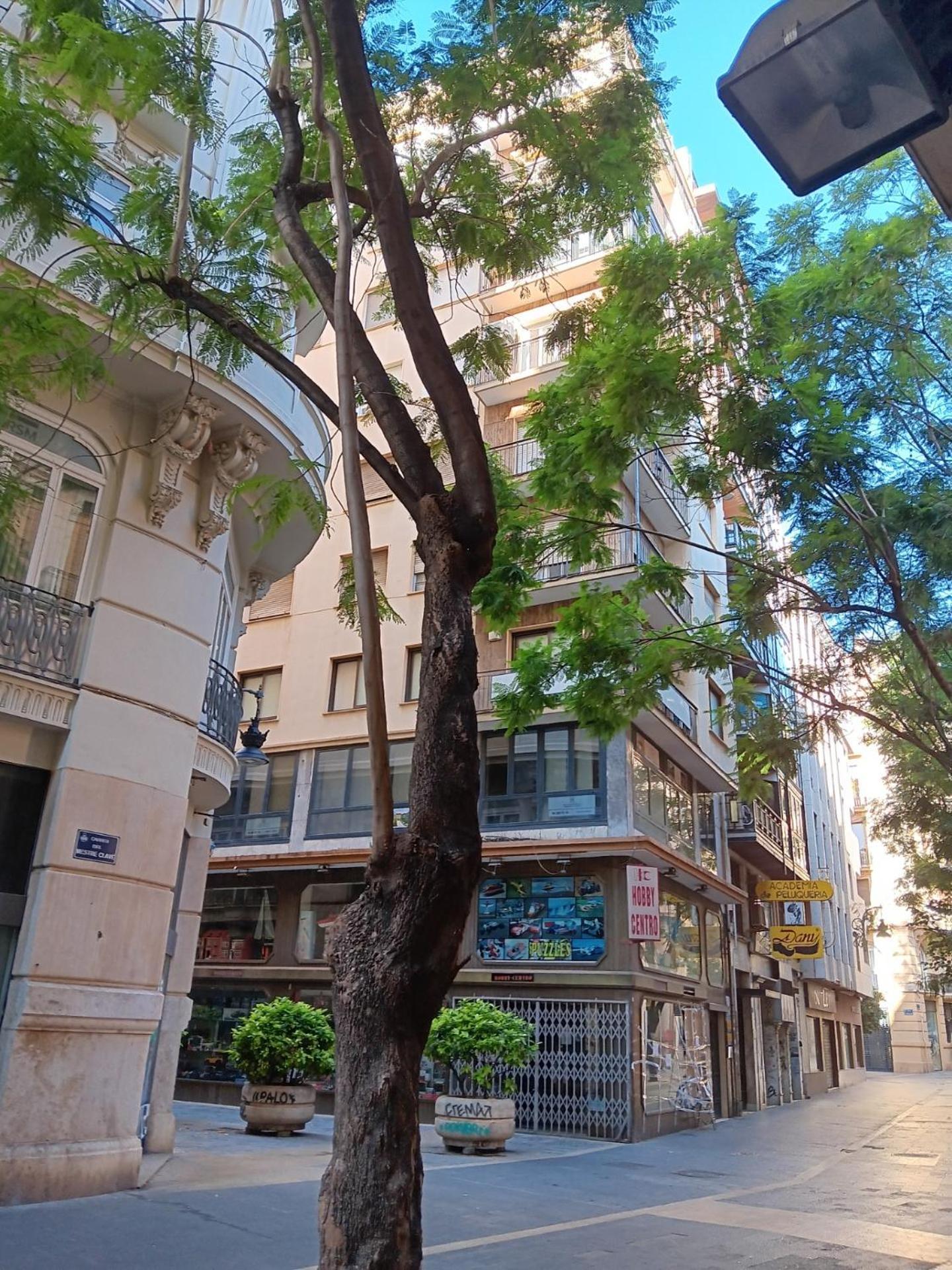 Apartamento Familiar Centro Historico Plaza Ayuntamiento "Ciutat Vella" Valencia Bagian luar foto